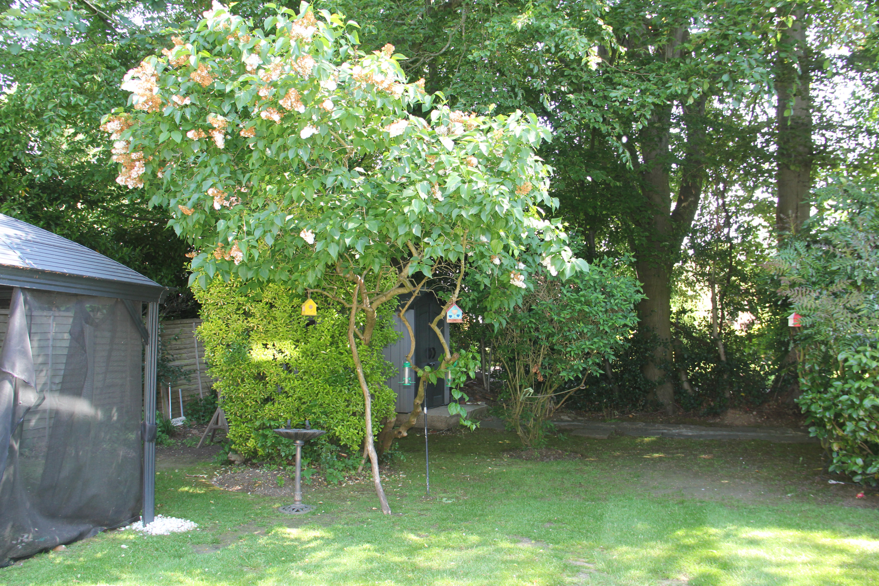 Mount View Recovery Unit